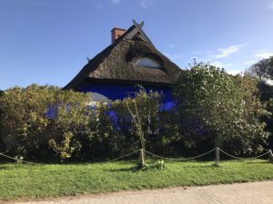 Die Insel Hiddensee mit Pferd und Fahrrad erleben.